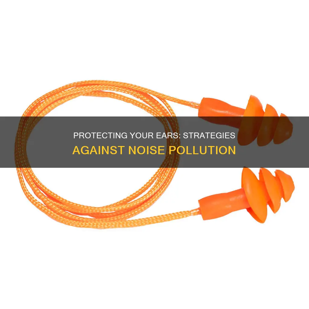 how do you protect yourself from noise pollution