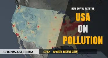 Pollution in the USA: A Critical Review