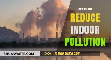 Purifying Your Home: Reducing Indoor Pollution