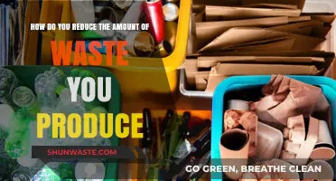 Sustainable Living: Simple Strategies to Minimize Your Daily Waste Footprint