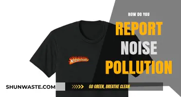 Addressing Noise Pollution: Know Your Rights and Report It
