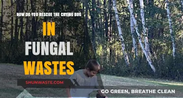 Saving the Crying Bug: A Guide to Fungal Wastes Rescue