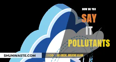 The Many Ways Pollutants Affect Our Lives