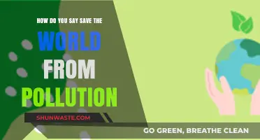 Protecting Our World: Stopping Pollution Together