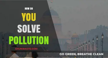 Green Revolution: Solving Pollution for a Sustainable Future