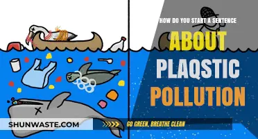 The Plastic Pollution Crisis: How to Begin Tackling It