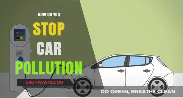 Green Driving: Reducing Car Pollution
