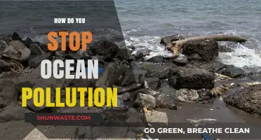 Protecting Our Oceans: Stopping the Pollution