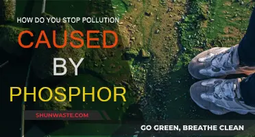 Ending Phosphorus Pollution: Strategies for a Greener Future