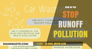 Preventing Runoff Pollution: Strategies for a Cleaner Environment