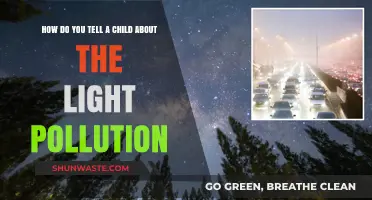 Explaining Light Pollution to Children: Illuminating the Night Sky