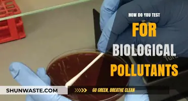 Testing for Biological Pollutants: Methods and Techniques