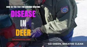 Detecting Chronic Wasting Disease in Deer: Testing Methods Explained