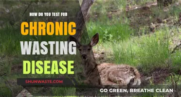 Detecting Chronic Wasting Disease: Essential Testing Methods and Procedures