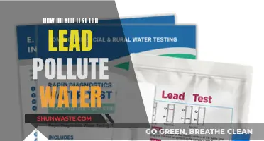 Unveiling the Lead Contamination Test: A Comprehensive Guide