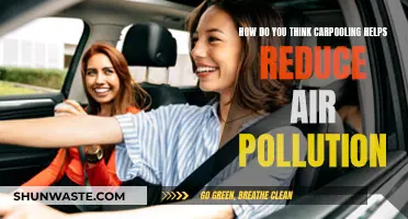 Carpooling: Reducing Air Pollution, One Ride at a Time