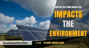 Energy Consumption's Environmental Impact: A Comprehensive Analysis and Solutions