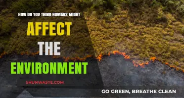 Human Impact on the Environment: Causes, Consequences, and Sustainable Solutions