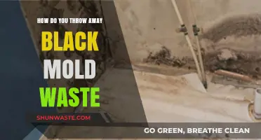 Safely Disposing of Black Mold Waste: A Step-by-Step Guide