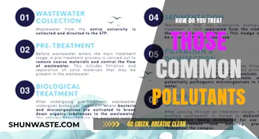 Treating Common Pollutants: A Guide to a Cleaner Environment