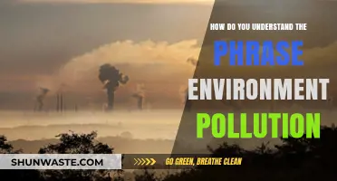 Understanding Environmental Pollution: A Global Crisis