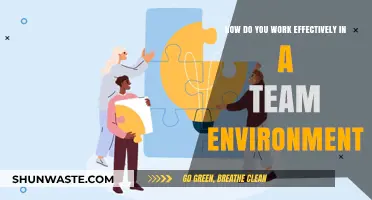 Mastering Teamwork: Strategies for Effective Collaboration and Productivity