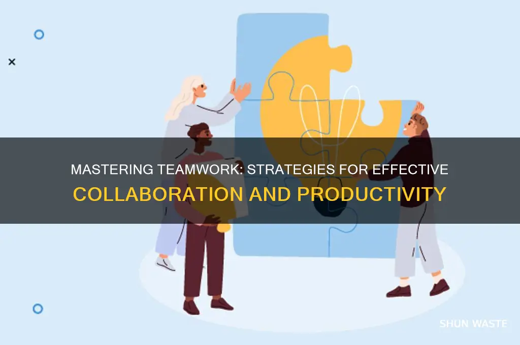 how do you work effectively in a team environment