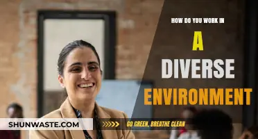 Embracing Diversity: Strategies for Thriving in a Multicultural Workplace