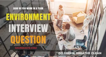 Mastering Teamwork: Tips to Ace the Team Environment Interview Question