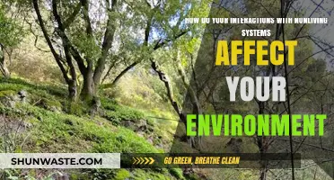 How Nonliving Systems Impact Our Environment Through Daily Interactions