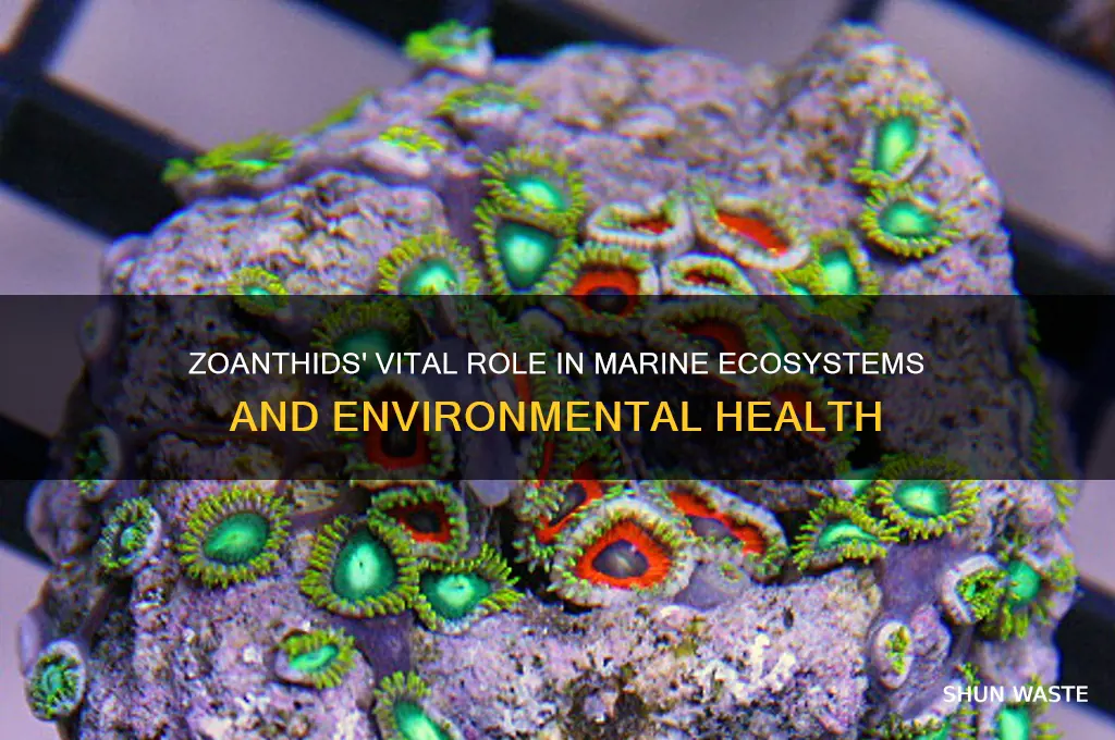 how do zoanthids help the environment