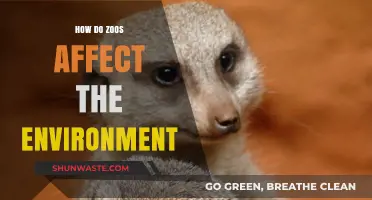 Zoos' Environmental Impact: Conservation Efforts vs. Ecological Footprint Explored
