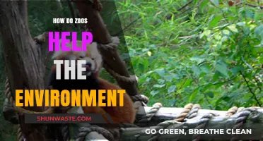 Zoos' Role in Conservation: Protecting Biodiversity and Preserving Ecosystems