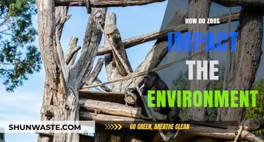 Zoos' Environmental Impact: Conservation Efforts vs. Ecological Footprint Explored