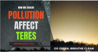 Light Pollution: Impacting Nature's Night Vision