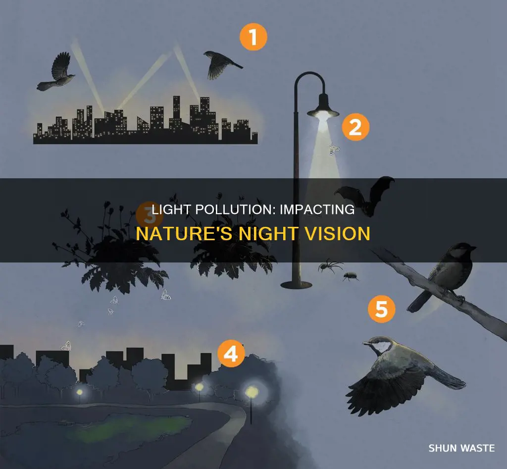 how doe sliglht pollution affect teres