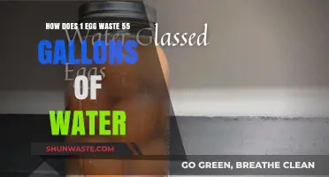 Egg Production's Hidden Cost: 55 Gallons of Water Wasted per Egg