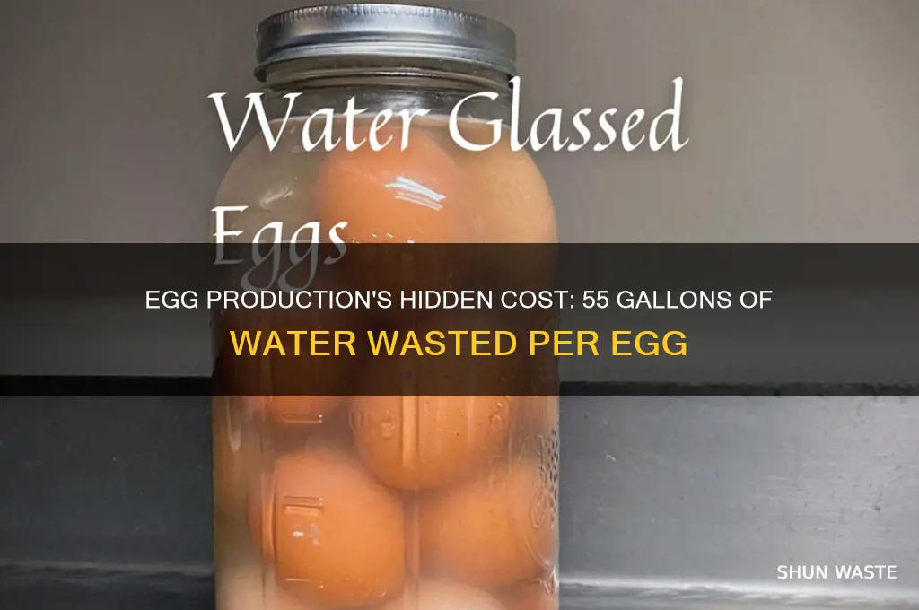 how does 1 egg waste 55 gallons of water