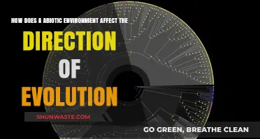Abiotic Factors: Shaping Evolution's Path in Changing Environments