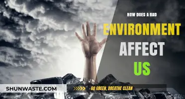 Toxic Surroundings: How a Bad Environment Impacts Our Health and Well-being