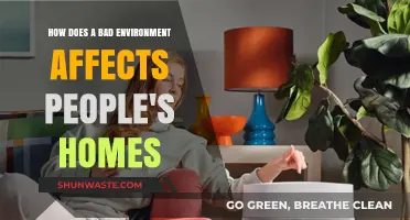 Toxic Surroundings: How Bad Environments Invade and Destroy Our Homes