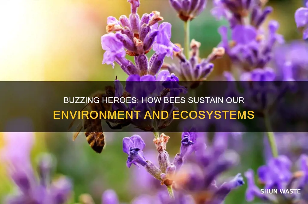 how does a bee help the environment