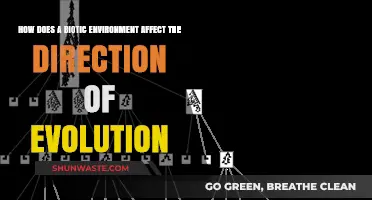 Biotic Interactions: Shaping Evolutionary Paths in Dynamic Ecosystems