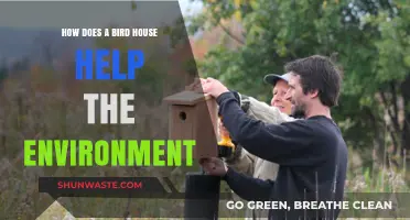 Bird Houses: Eco-Friendly Havens Boosting Biodiversity and Ecosystem Health