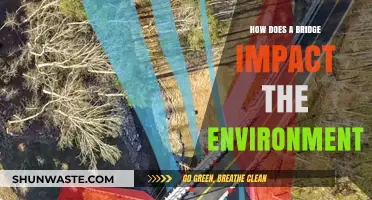 Bridges and Ecosystems: Environmental Impacts and Sustainable Solutions