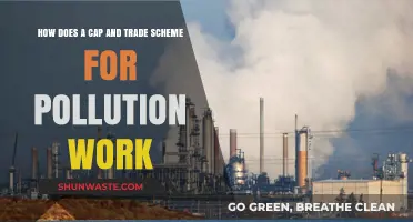 Cap and Trade: Pollution's Price Tag