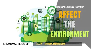 Carbon Footprint's Impact: Unveiling Environmental Consequences and Sustainable Solutions