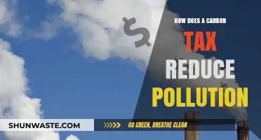 Carbon Tax: Reducing Pollution, Saving the Planet