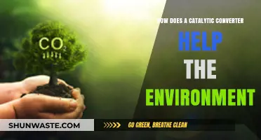 Catalytic Converters: Reducing Vehicle Emissions for a Greener Environment
