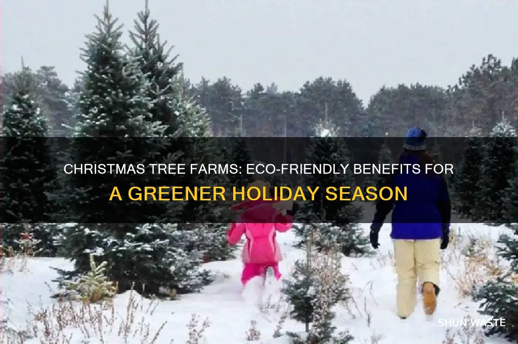 how does a christmas tree farm help the environment